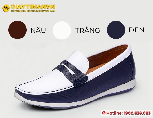 Màu sắc Penny Loafer phổ biến