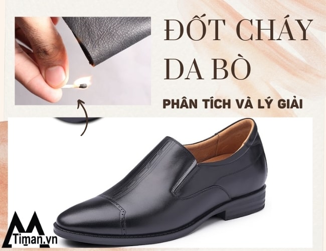 Phân tích da bò đốt có cháy không