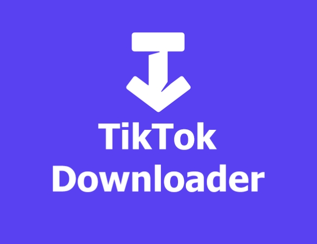 Cách tải video tiktok không logo với TikTok Downloader