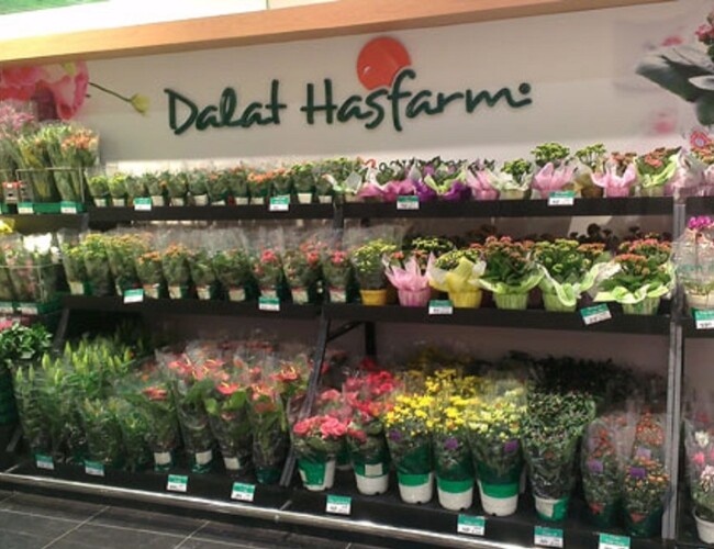 Cửa hàng hoa Dalat Hasfarm