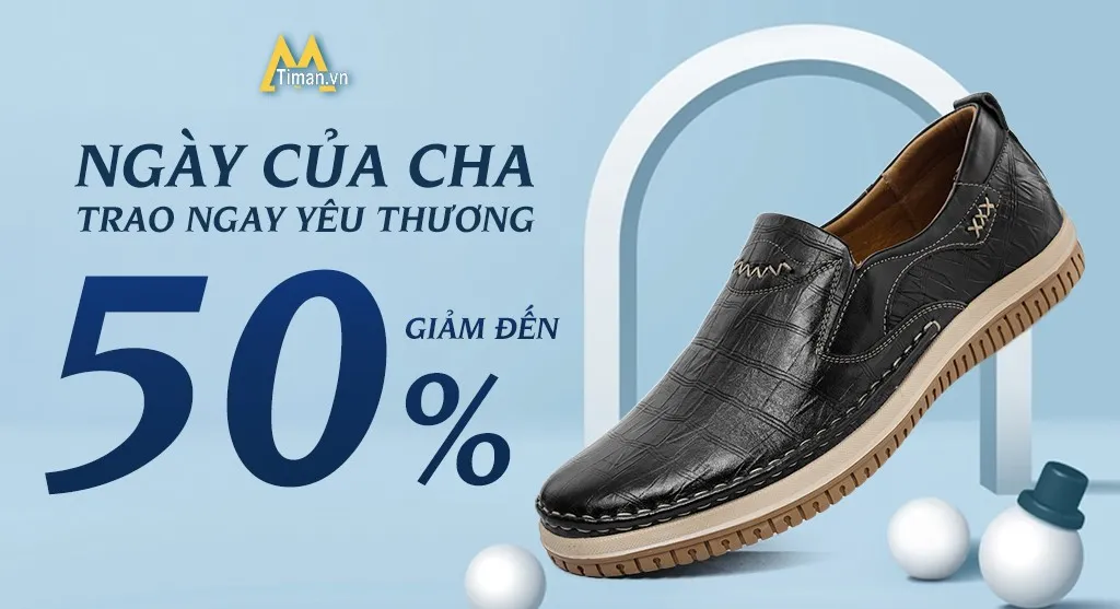 hình 1