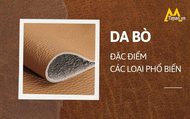 Tần tần tật kiến thức về da bò có thể bạn chưa biết