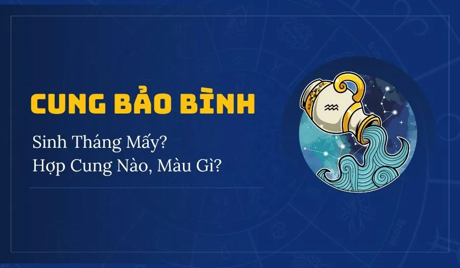 Cung Bảo Bình Tháng Mấy? Giải Mã Tất Tần Tật Về Bảo Bình